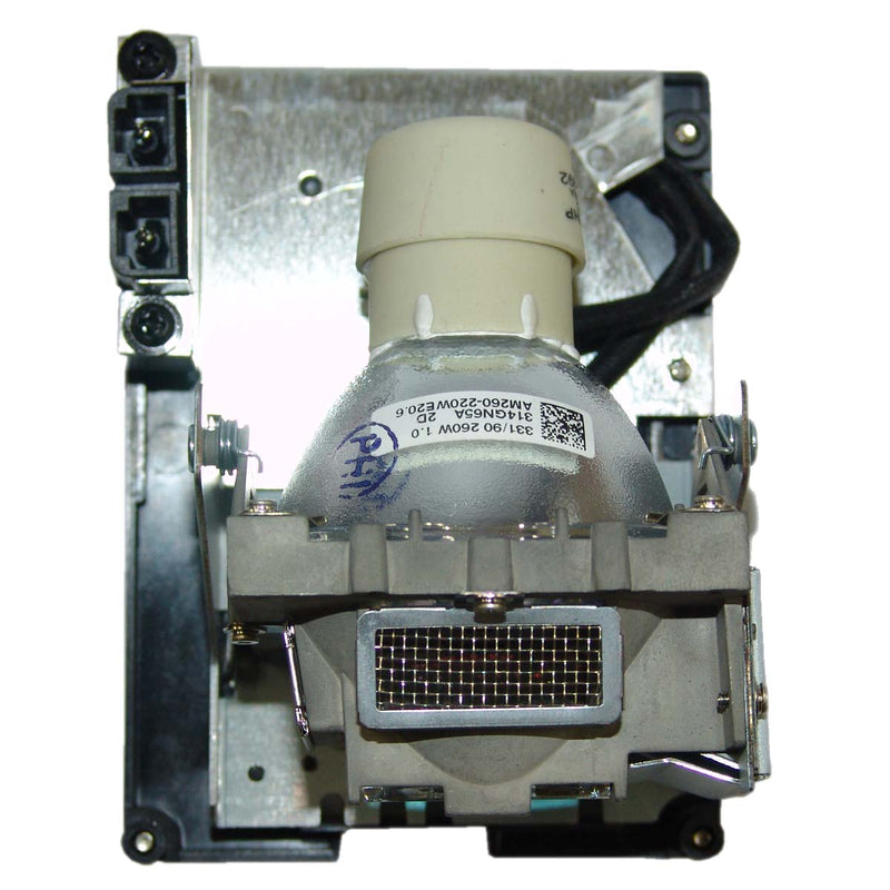 Vivitek LTOH5811100795SUPPH Philips FP Lamps with Housing