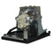Taxan LTOHKGLA001POS Osram FP Lamps with Housing