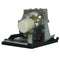 PLUS LTPR601602PPH
