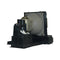 InFocus LTPRA3380POS