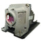 NEC LTPRNP13LPPPH