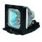 Toshiba LTOHTLPLB2PPPH Philips FP Lamps with Housing
