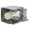BenQ LTOHMS516PPH Philips FP Lamps with Housing