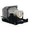 Sony LTPRVPLEX274PPH