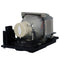 Sony LTOHVPLEX274PPH Philips FP Lamps with Housing