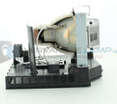 RICOH LTOHPJWX5150PPH Philips FP Lamps with Housing