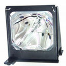 Optoma LTOHBLFU120APOS Osram FP Lamps with Housing