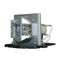 Optoma LTPRSP87J01GC01PPH