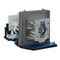 Optoma LTPRBLFS220APOS