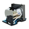 Optoma LTPRBLFS220APOS
