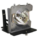 Samsung LTOHSPD400PPH Philips FP Lamps with Housing