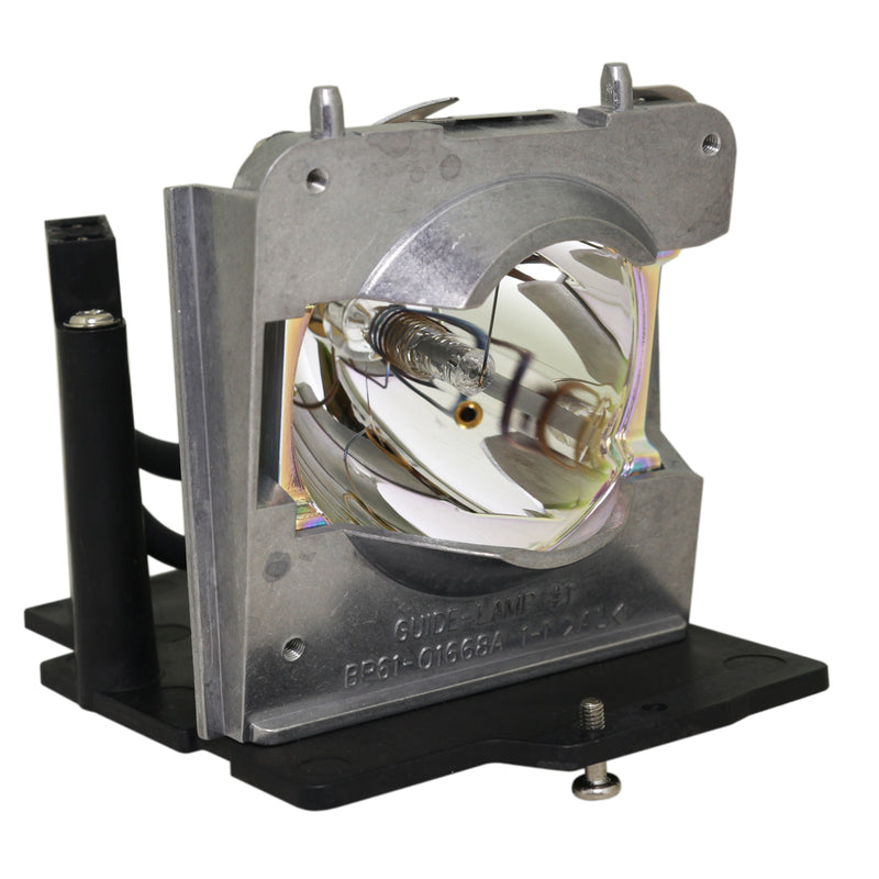 Samsung LTOHSPD400PPH Philips FP Lamps with Housing