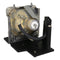 Samsung LTOHSPD400PPH Philips FP Lamps with Housing