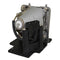 Samsung LTOHSPD400PPH Philips FP Lamps with Housing