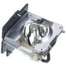 Samsung LTOHSPA800PPH Philips FP Lamps with Housing