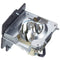 Samsung LTOHSPA800PPH Philips FP Lamps with Housing