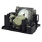 Optoma LTPRTX771PPH