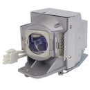 Acer LTOHAW540PPH Philips FP Lamps with Housing