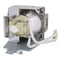 Acer LTOHAW540PPH Philips FP Lamps with Housing