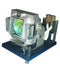 BenQ LTOHPU9530POS Philips FP Lamps with Housing
