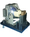 Digital Projection LTOHEVisionWXGA1POS Philips FP Lamps with Housing