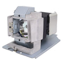 Specialty Equipment Lamps LTOHSPLAMP084PPH Philips FP Lamps with Housing