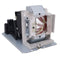 BenQ LTPR5JJC505001PPH