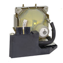 BenQ LTOHPB8240PPH Philips FP Lamps with Housing