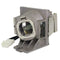Viewsonic LTOHPS600WPPH Philips FP Lamps with Housing