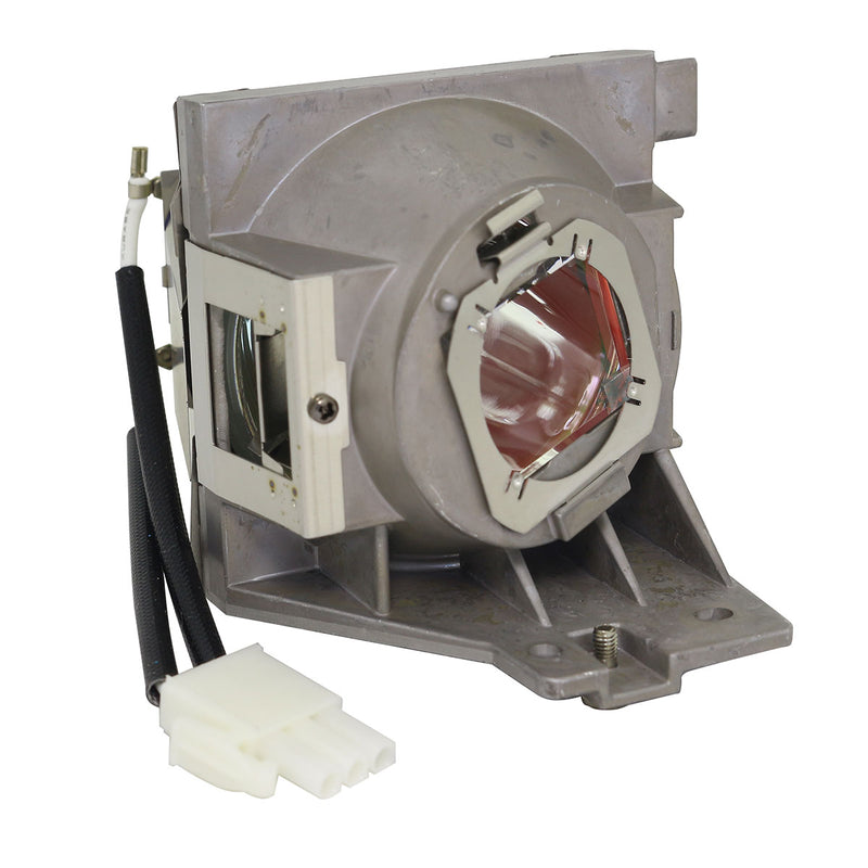 Viewsonic LTOHPS600WPPH Philips FP Lamps with Housing