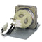 InFocus LTPRIN3144PPH