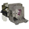 Viewsonic LTPRPA502SPPH