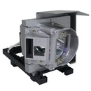Panasonic LTOHETLAC200POS Philips FP Lamps with Housing