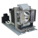 BenQ LTOHEP5925DPOS Philips FP Lamps with Housing