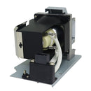 BenQ LTOHEP5925DPOS Philips FP Lamps with Housing