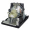 BenQ LTPR5JJ0W05001PPH