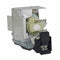 Viewsonic LTPRRLC077POS