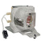 Optoma LTPRBLFP240EPPH