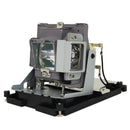 Optoma LTOHEH1060POS Philips FP Lamps with Housing