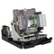 Optoma LTOHEH1060POS Philips FP Lamps with Housing