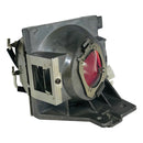 Viewsonic LTOHPX706HDPPH Philips FP Lamps with Housing