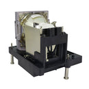 Digital Projection LTOHEVisionWXGA7500POS Philips FP Lamps with Housing