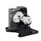 Optoma LTPRBLFP230CPPX
