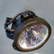 Synelec LTOHLM800PPH Philips FP Lamps with Housing