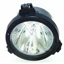 Synelec LTOHLM1000PPH Philips FP Lamps with Housing