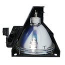 Toshiba LTOHTYG3PPH Philips FP Lamps with Housing