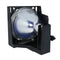 Toshiba LTOHTYG3PPH Philips FP Lamps with Housing