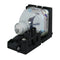 Toshiba LTPRTLPLB2PPPH