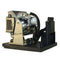 Boxlight LTPRPRO4500DPLAMP2POS