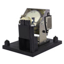 Boxlight LTPRPRO4500DPLAMP2POS